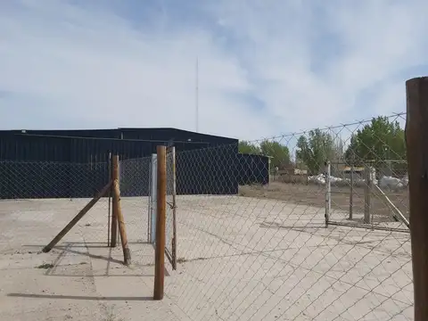 La Criollita al 200 - Fernandez Oro