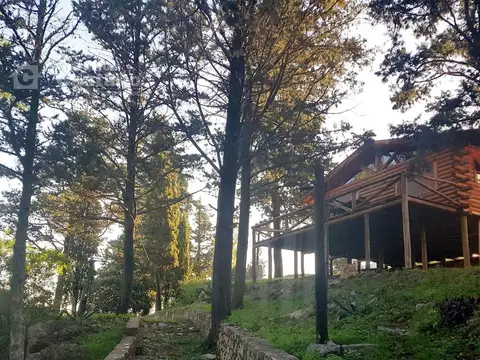 Pardos