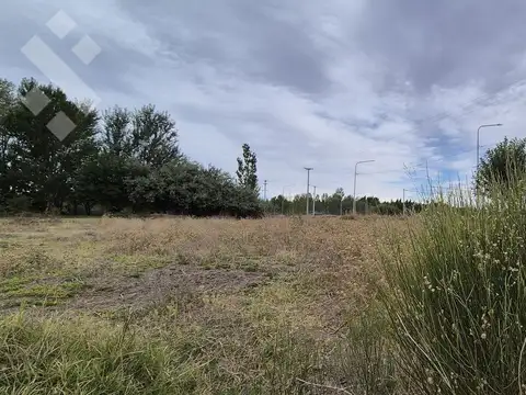 VENTA - ULTIMOS LOTES RESIDENCIALES - 360m2 - HERRADURA DEL LIMAY, PLOTTIER.
