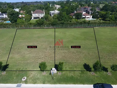 LOS CARDOS PILAR 100