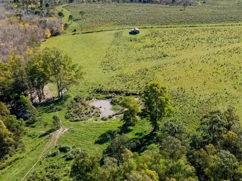 Venta de campo con 6 Ha. en Rincón de Pando