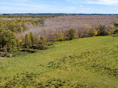 Venta de campo con 6 Ha. en Rincón de Pando