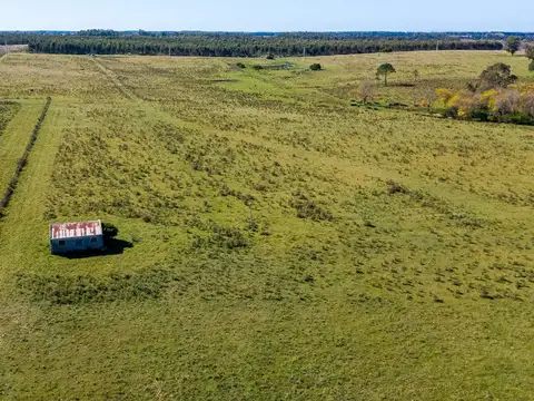 Venta de campo con 6 Ha. en Rincón de Pando