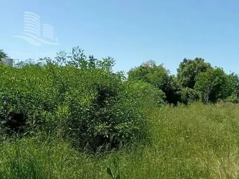 Terreno en Venta en Boulogne, USD 92.000