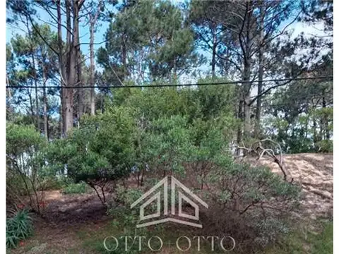 TERRENOS/FRACCIONES/LOTEOS - TERRENOS/FRACCIONES/LOTEOS - PUNTA BALLENA