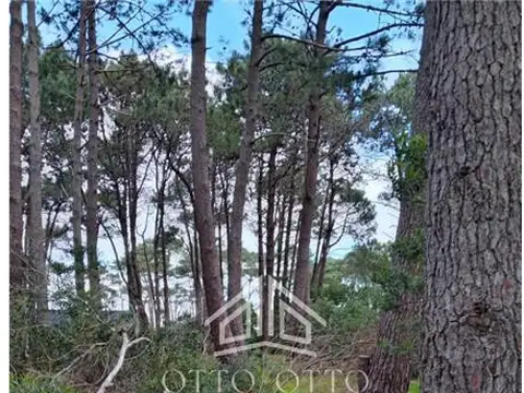 Terreno en Venta en Punta Ballena, USD 70.000