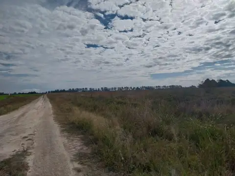 CAMPO AGRÍGOLA/GANADERO EN "LAS MERCEDES" V.OCAMPO