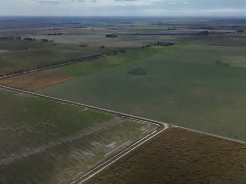 CAMPO AGRÍGOLA/GANADERO EN "LAS MERCEDES" V.OCAMPO