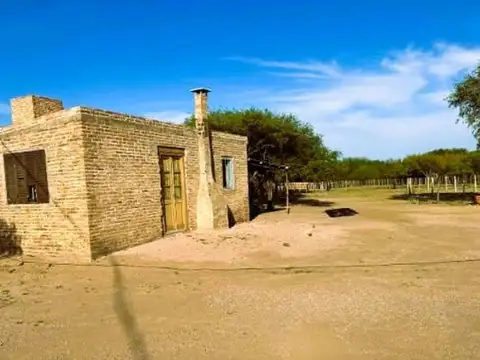 VENTA CAMPO VILLA QUILINO 60 HAS