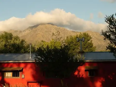 00435- Battle Planas, C. Monte