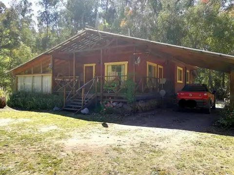 Urunday y Palo Santo 100