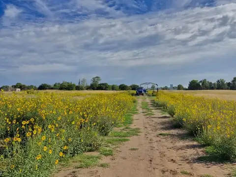 Terreno en Venta en Santa Rosa, USD 31.000