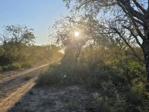 Campo en Venta Mixto