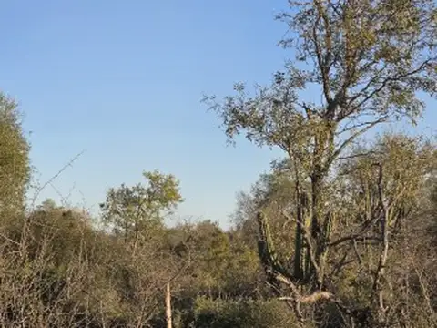 Campo en Venta de 947  ha