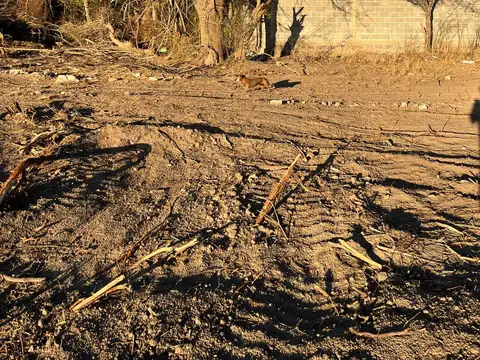 Terreno en venta en Cruz del Eje