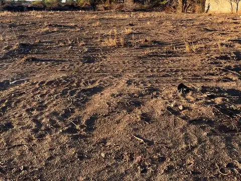 Terreno en Venta de 2500,0 m2