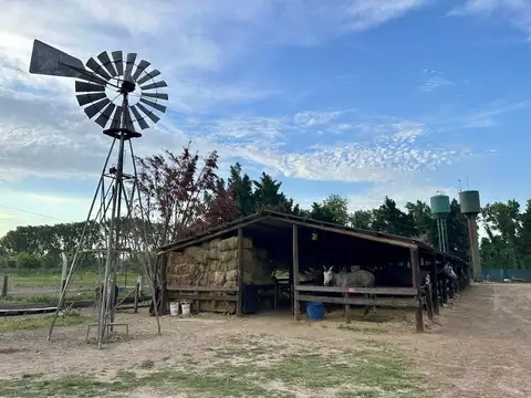 Terreno en Venta en Ibarlucea, USD 194.000