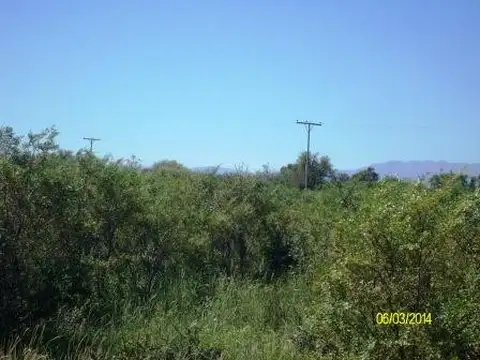 Campo en Venta de 350  ha