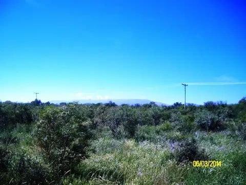 Campo en Venta de 350  ha