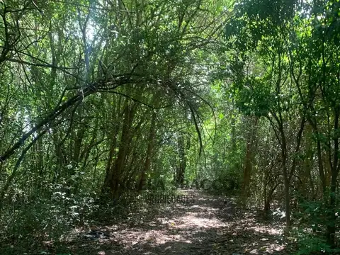 Terreno en Venta de 2500,0 m2