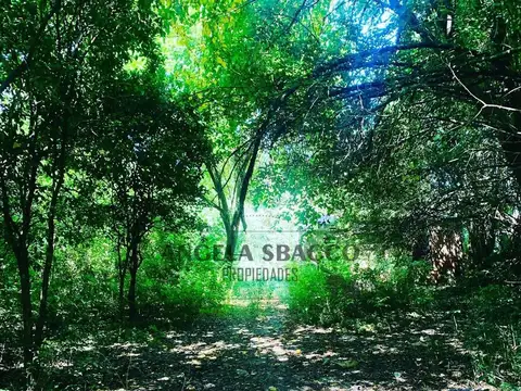 Terreno en Venta de 2500,0 m2