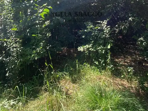 Terreno en Venta 50  mts Fondo