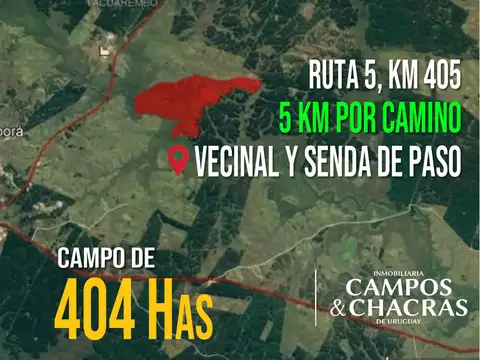 Campo en venta de 404 Has., en Tacuarembó