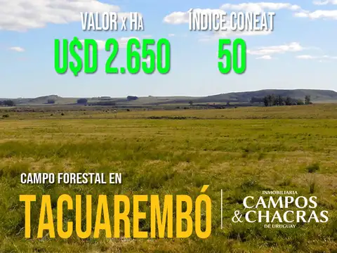 Campo en venta de 404 Has., en Tacuarembó
