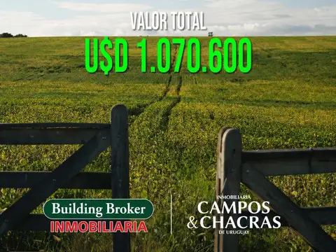 Campo en Venta de 404  ha