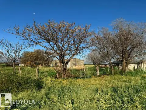 Campo en Venta Chacra