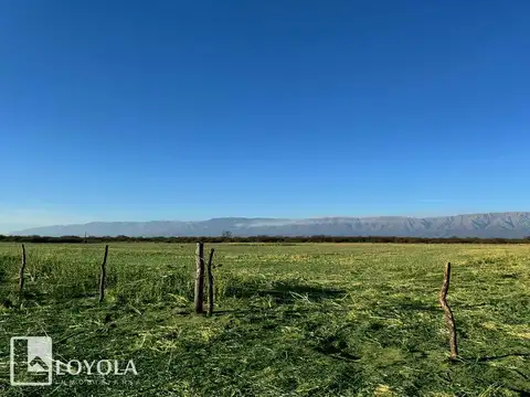 65 Has  Ruta 148 Córdoba limite San Luis Financiación