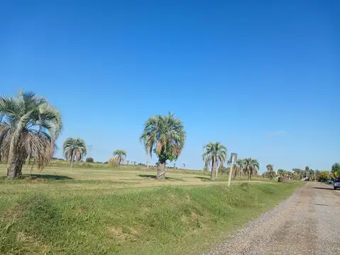 Terreno en Venta 30  mts Fondo