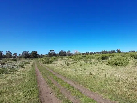 Terreno en Venta de 23092,0 m2