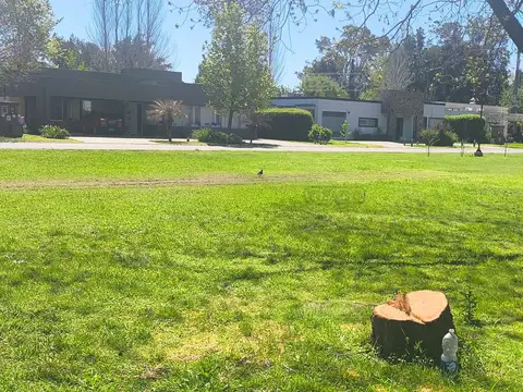 Luis de Camoens 2000