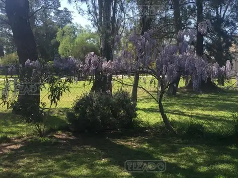 Terreno Lote  en Venta en El Casco de Alvarez, Francisco Álvarez, Moreno