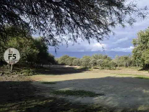 Terreno en Venta de 10000,0 m2