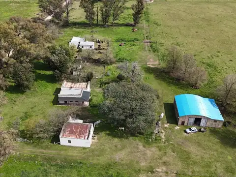 Venta Campo Ganadero Felicia-Nuevo Torino-Santa Fe