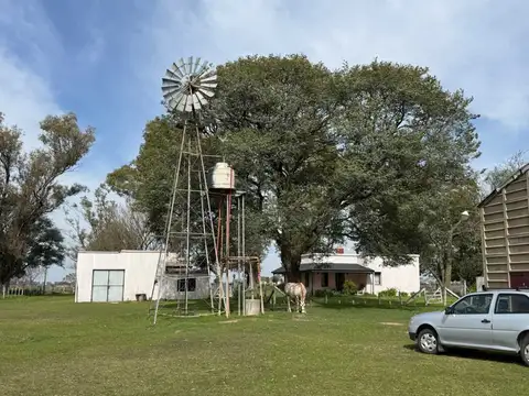 Venta Campo Ganadero Felicia-Nuevo Torino-Santa Fe
