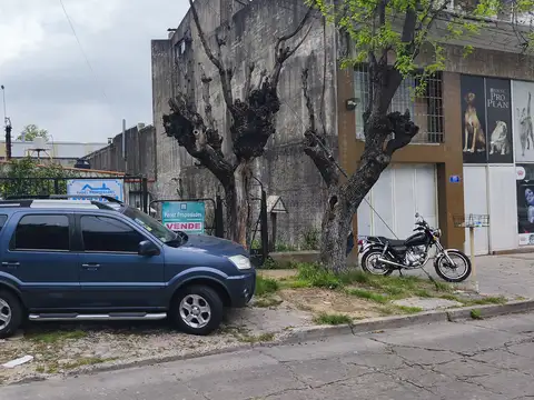 Terreno en Venta 29  mts Fondo