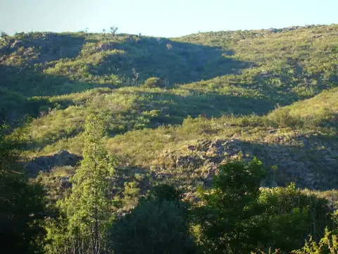 Terreno en Venta, FOT 0.5