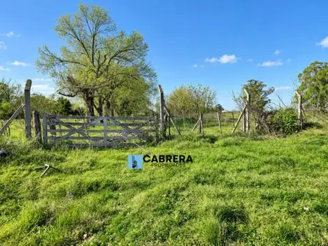 ZAPALERI
