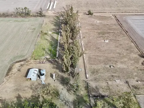 Alquiler de instalaciones para FEEDLOT en Cruz Alta, Cordoba