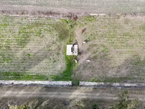 Alquiler INSTALACIONES LISTAS PARA FEEDLOT