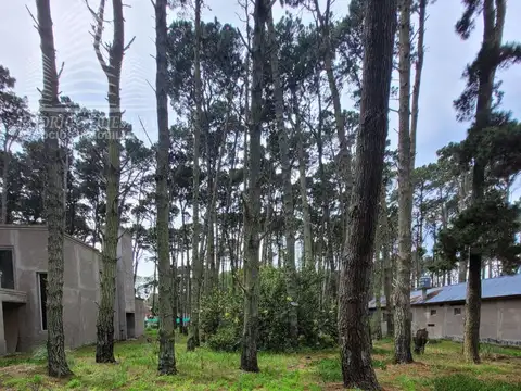 Terreno en Venta 20  mts Frente