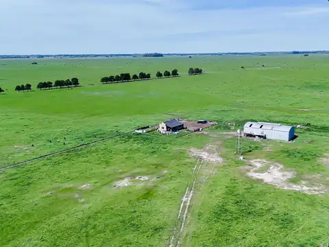 CAMPO EN VENTA FLORENCIO VARELA, 135 HECTAREAS,