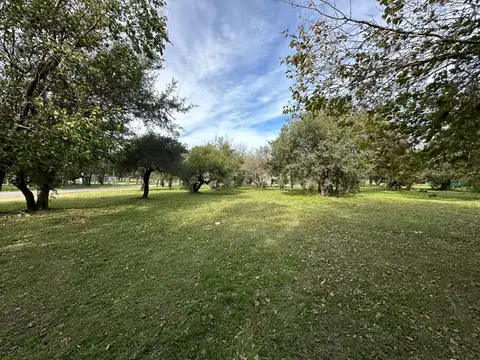 Terreno en Venta 56  mts Fondo