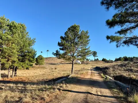 Terreno en Venta de 10000,0 m2