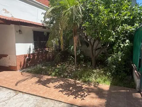 Salto 100