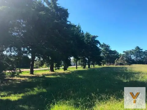 Terreno en Venta 40  mts Fondo
