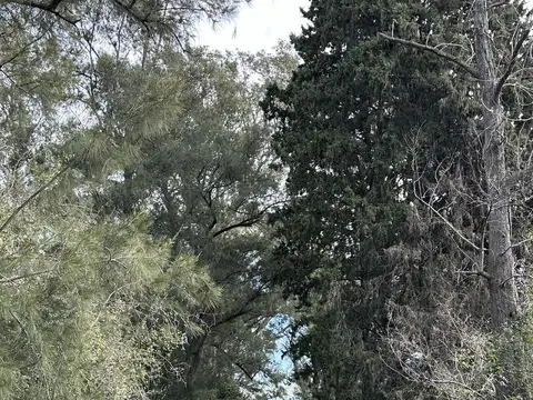 Terreno en Venta 15  mts Frente